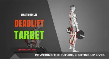 Deadlifts: Targeting Back, Shoulders, Glutes, and Hamstrings