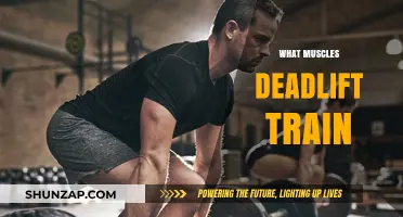Deadlifts: Training Your Back, Shoulders, and Core
