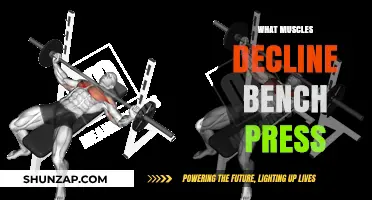 How Bench Pressing Affects Your Muscle Growth