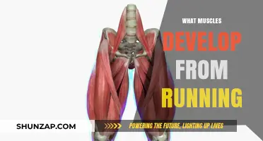 Running's Muscular Benefits: Targeted Muscle Development