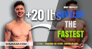 Fastest Developing Muscles: What You Need to Know