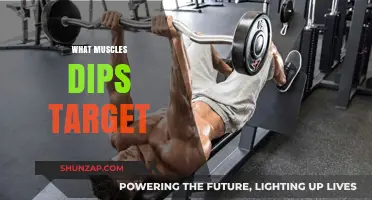 Dips Workout: Which Muscles Do They Target?