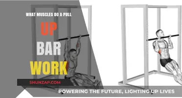 Pull Up Bar Muscles: Targeted Strength Training for Upper Body