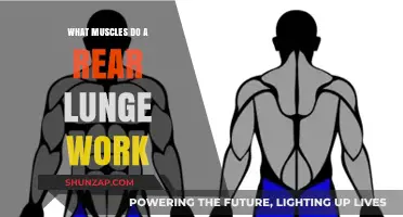 Rear Lunges: Targeting Glutes, Quads, Hamstrings, and Core Muscles