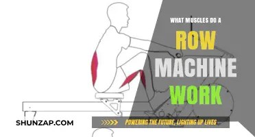 Row Machine Muscles: A Full-Body Workout Breakdown and Benefits