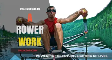 Rowing's Full-Body Benefits: Muscles Engaged in Every Stroke