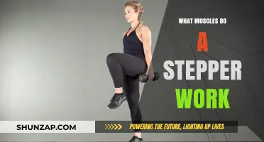 Stepper Workout Benefits: Targeted Muscles and Fitness Gains Explained
