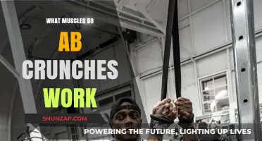 Ab Crunches: Target Muscles and Core Strengthening Benefits Explained