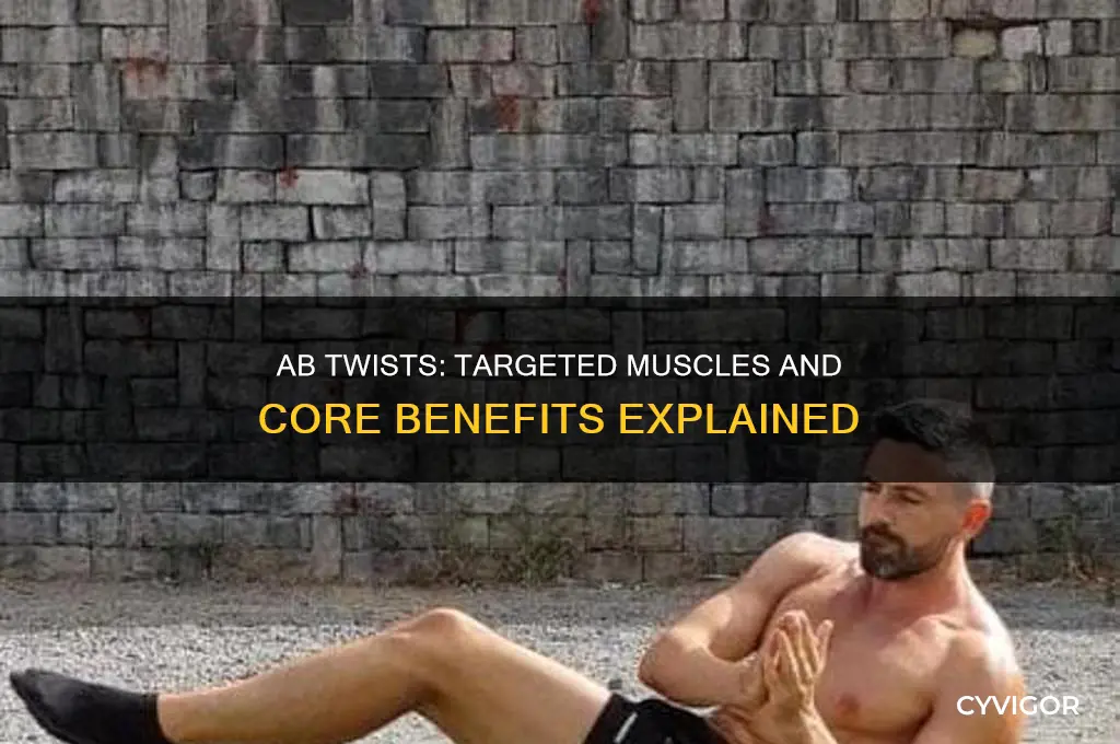 what muscles do ab twists work