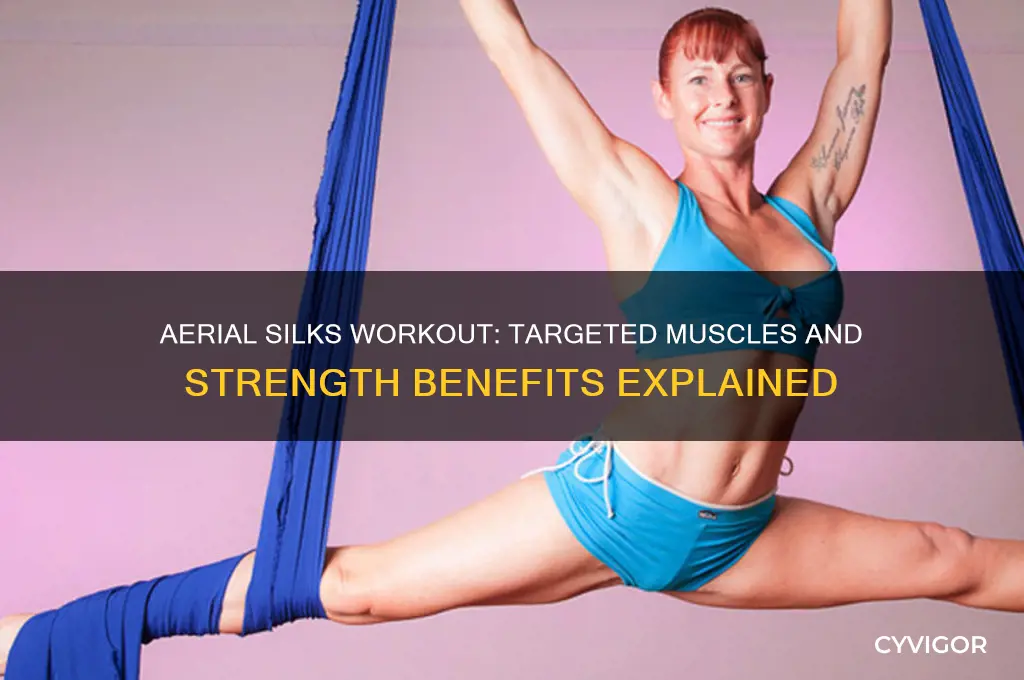 what muscles do aerial silks work