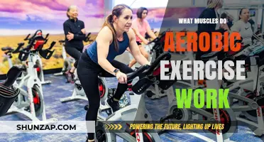 Aerobic Exercise: Unlocking the Muscles That Power Your Workout