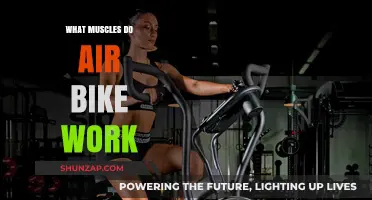 Air Bike Workout: Target Muscles and Full-Body Benefits Explained