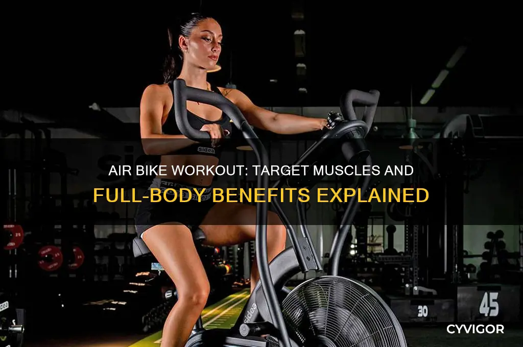 what muscles do air bike work