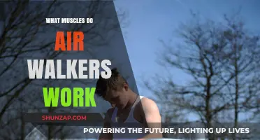 Air Walkers: Targeting Core, Legs, and Glutes for Full-Body Fitness