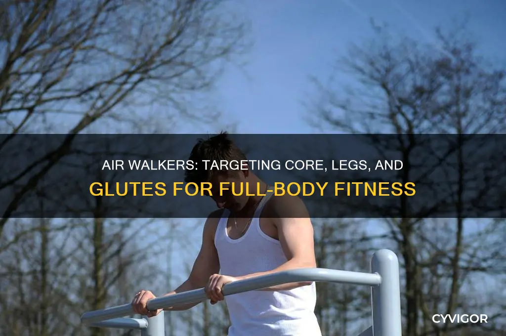 what muscles do air walkers work
