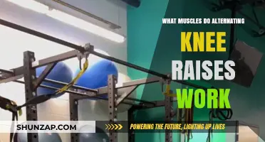 Alternating Knee Raises: Targeted Muscles and Core Benefits Explained