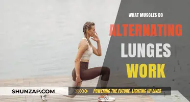 Alternating Lunges: Target Muscles and Benefits for Lower Body Strength