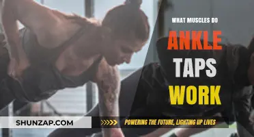 Ankle Taps: Targeted Muscles and Benefits for Lower Body Strength