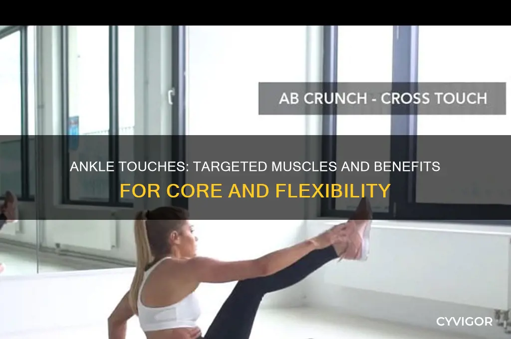 what muscles do ankle touches work