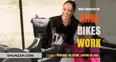 Arm Bike Benefits: Targeted Muscles and Strength Training Explained