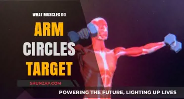 Arm Circles: Unlocking Shoulder, Chest, and Back Muscle Engagement