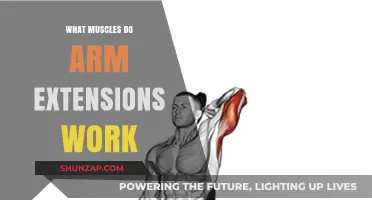 Arm Extensions: Targeted Muscles for Strength and Definition Revealed
