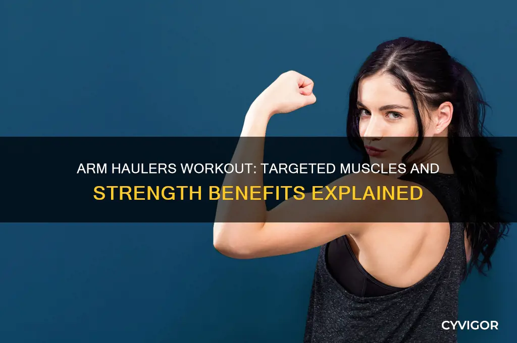 what muscles do arm haulers work