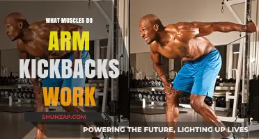 Arm Kickbacks: Targeted Muscles for Stronger, Toned Upper Arms