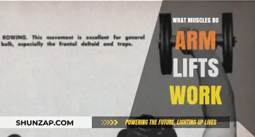 Arm Lifts: Targeted Muscles for Strength and Definition Explained