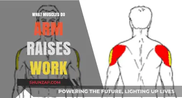 Arm Raises: Targeted Muscles and Benefits for Stronger Upper Body