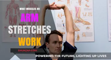 Unlocking Arm Flexibility: Muscles Targeted by Effective Arm Stretches