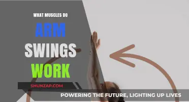 Arm Swings: Targeted Muscles and Benefits for Upper Body Strength