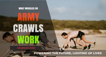 Army Crawls: Target Muscles and Full-Body Benefits Explained