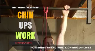 Assisted Chin Ups: Targeted Muscles and Benefits Explained