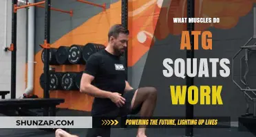 ATG Squats: Target Muscles and Full-Body Benefits Explained