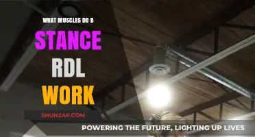 B-Stance RDL Muscles: Targeted Activation and Benefits Explained