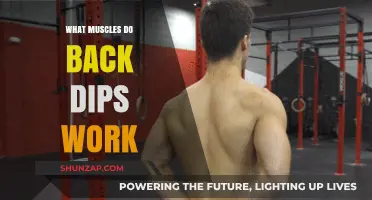 Back Dips Muscles: Targeted Strength Training for Upper Body Power