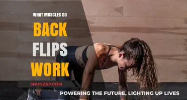 Mastering Back Flips: Key Muscles Engaged and Strengthened