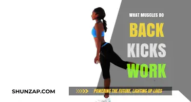 Back Kicks Benefits: Targeted Muscles and Strength Training Explained
