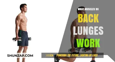 Back Lunges: Target Muscles and Benefits for Strength Training