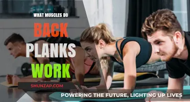 Back Planks: Targeted Muscles and Core Strengthening Benefits Explained