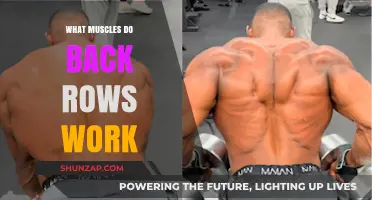 Back Rows: Target Muscles and Benefits for Strength Training