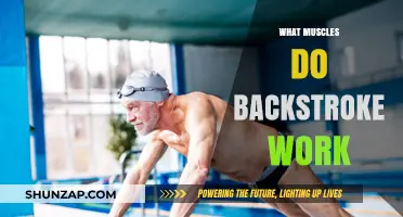 Backstroke Benefits: Key Muscles Engaged in This Swimming Stroke