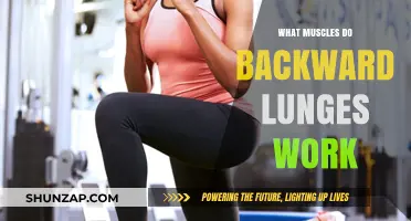 Backward Lunges: Targeted Muscles and Benefits for Lower Body Strength