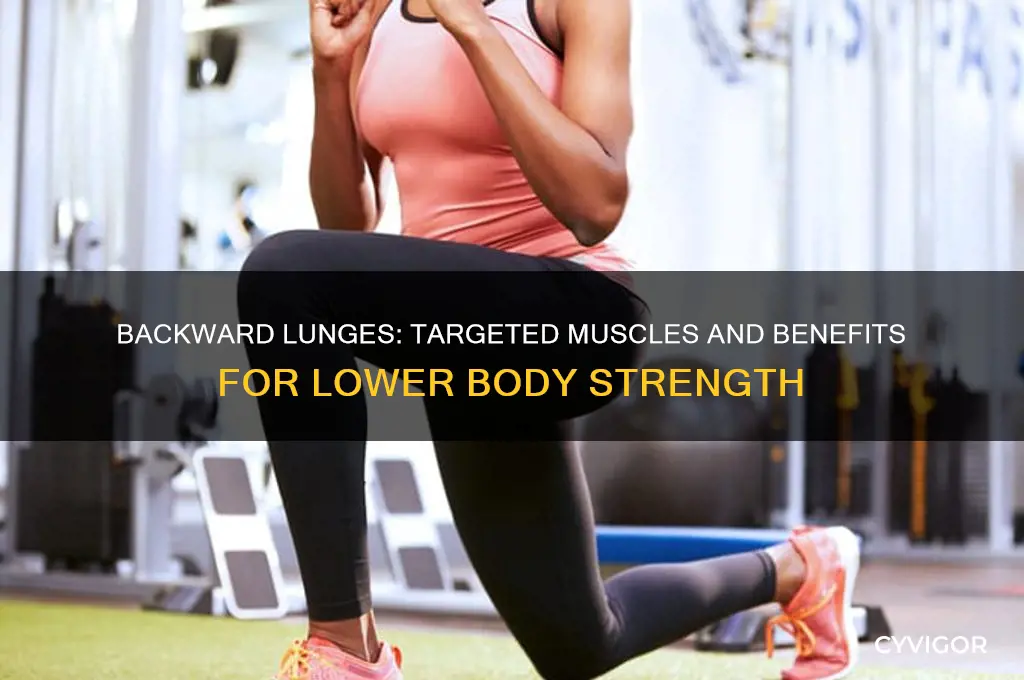 what muscles do backward lunges work