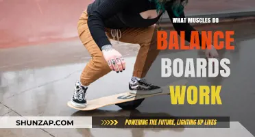 Enhance Stability: Muscles Targeted by Balance Board Training Explained