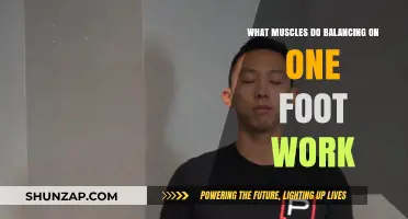 One-Foot Balance: Muscles Engaged and Strengthened in Stability