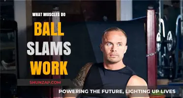 Muscles Targeted by Ball Slams: A Full-Body Workout Breakdown