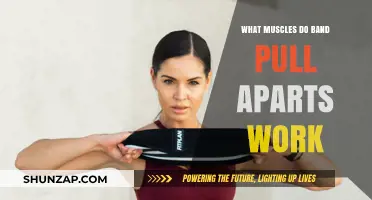 Band Pull Aparts: Targeted Muscles and Benefits Explained
