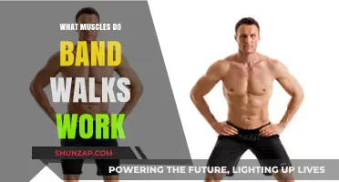 Band Walks: Targeting Glutes, Hips, and Leg Muscles Effectively